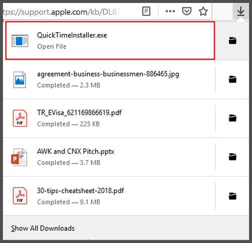 Abra el archivo de descarga de Windows QuickTime