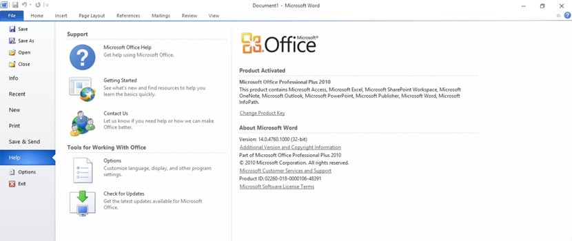 Microsoft Office 2010 Profesional Plus SP2